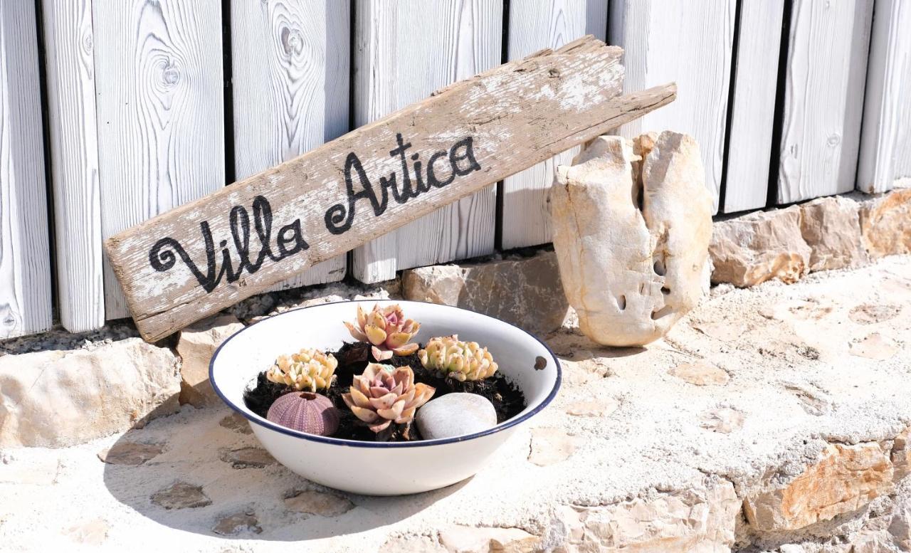 Camp Buqez 45 - Villa Artica باكوشتاني المظهر الخارجي الصورة