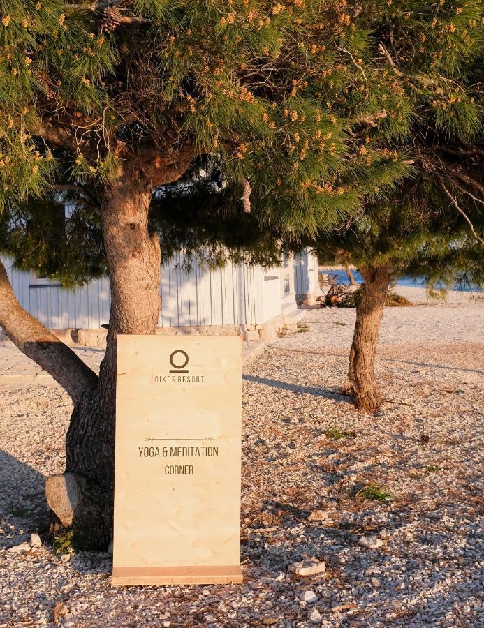 Camp Buqez 45 - Villa Artica باكوشتاني المظهر الخارجي الصورة